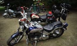 „Zamek Rock Party”  (38)