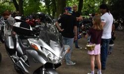 „Zamek Rock Party”  (39)