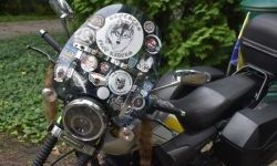 „Zamek Rock Party”  (21)