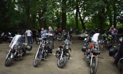 „Zamek Rock Party”  (22)