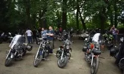 &bdquo;Zamek Rock Party&rdquo;  (22)