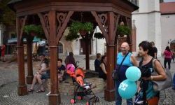 „Zamek Rock Party”  (42)
