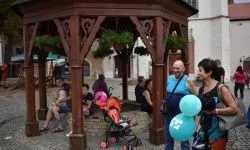 &bdquo;Zamek Rock Party&rdquo;  (42)