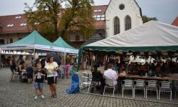 „Zamek Rock Party”  (38)