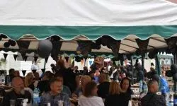 &bdquo;Zamek Rock Party&rdquo;  (39)