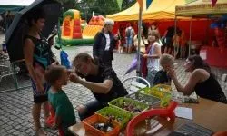 &bdquo;Zamek Rock Party&rdquo;  (25)
