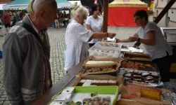 „Zamek Rock Party”  (28)