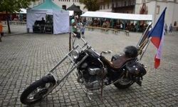 „Zamek Rock Party”  (29)