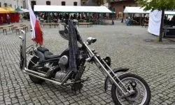 &bdquo;Zamek Rock Party&rdquo;  (31)