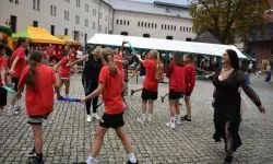 &bdquo;Zamek Rock Party&rdquo;  (12)
