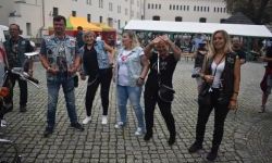 „Zamek Rock Party”  (45)