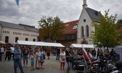 „Zamek Rock Party”  (38)
